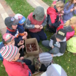 kastany-a-drakiada-152