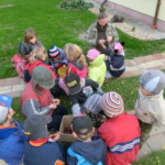 kastany-a-drakiada-153