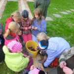 kastany-a-drakiada-154