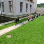 konec-skolniho-roku-030