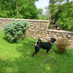 konec-skolniho-roku-033