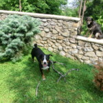 konec-skolniho-roku-034