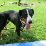 konec-skolniho-roku-038