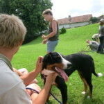 konec-skolniho-roku-045