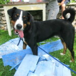 konec-skolniho-roku-050