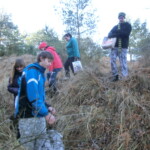 krmeni-zviratek-019