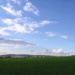let-balonem006