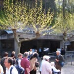 lourdes02.jpg
