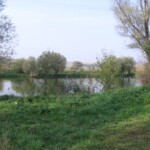 martinice-10.jpg