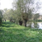martinice-11.jpg