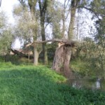 martinice-19.jpg