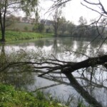 martinice-21.jpg