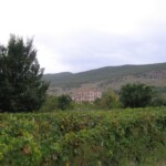 medugorje008
