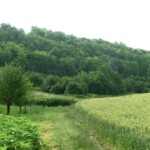 ministrantske-stanovani-020