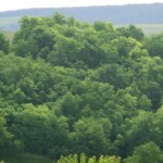 ministrantske-stanovani-098