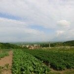 ministrantske-stanovani-100