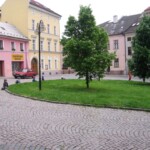 ministrantsky-den-v-olomouci-20