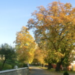 misijni-kolac-004