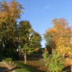misijni-kolac-006