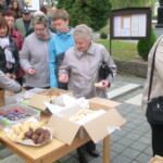misijni-kolac-010