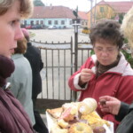 misijni-kolac-039
