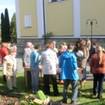 misijni-kolac-060