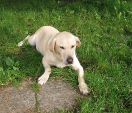 navsteva-v-mrakotine30