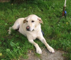 navsteva-v-mrakotine31