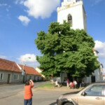 noc-kostelu-vestonice-006