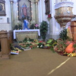 podekovani-za-urodu-001