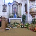 podekovani-za-urodu-004