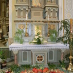 podekovani-za-urodu-005