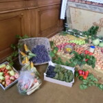 podekovani-za-urodu-013