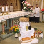 podekovani-za-urodu-19.jpg