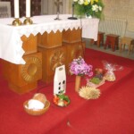 podekovani-za-urodu-nikolcice19