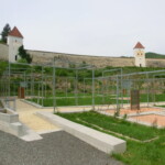 pout-do-rakouska-132