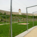 pout-do-rakouska-138