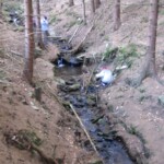 pranaf-2008-051.jpg