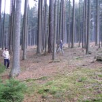 pranaf-2008-085.jpg
