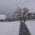 pranaf-2009-158.jpg