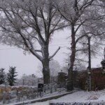 pranaf-2009-159.jpg