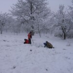 pranaf-2009-166.jpg