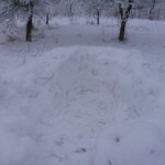pranaf-2009-168.jpg