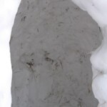 pranaf-2009-226.jpg