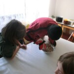 pranaf-2012-453