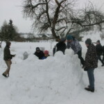 pranaf-2013-212