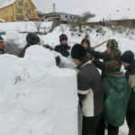pranaf-2013-232