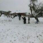 pranaf-2013-262