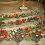 priprava-na-dobu-adventni60