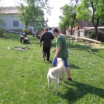 priprava-na-staveni-maje24.jpg